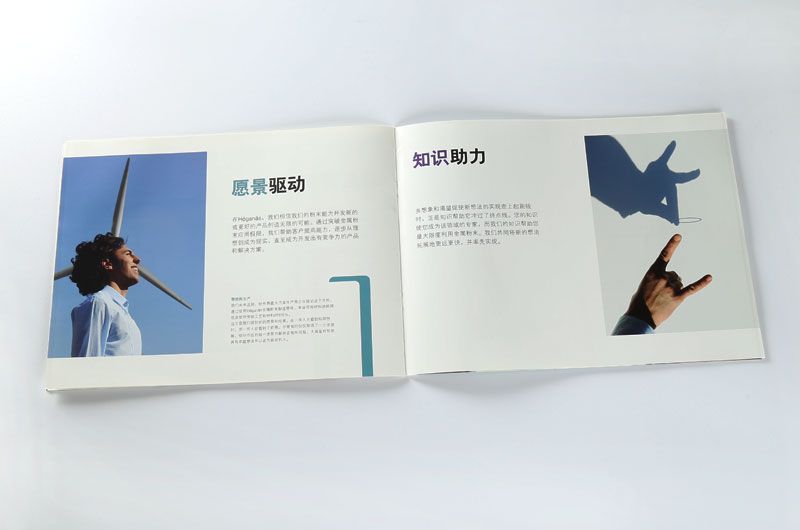 宣传册印刷-赫格纳斯